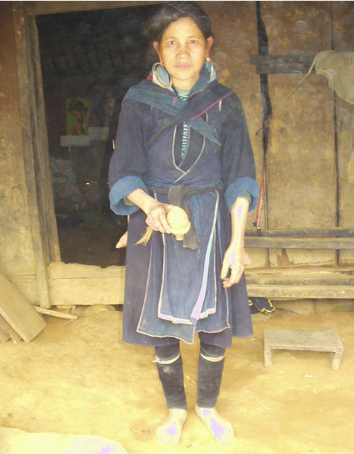 モン（Hmong）族のコマ_織り人（Orijin）