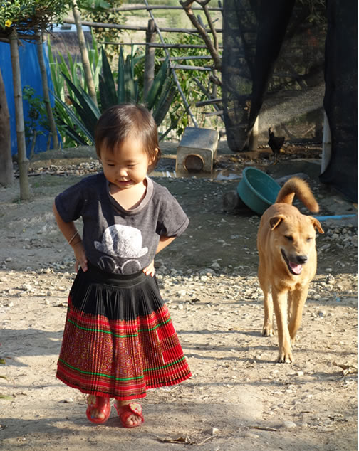 モン（Hmong）族のプリーツスカート_織り人（Orijin）